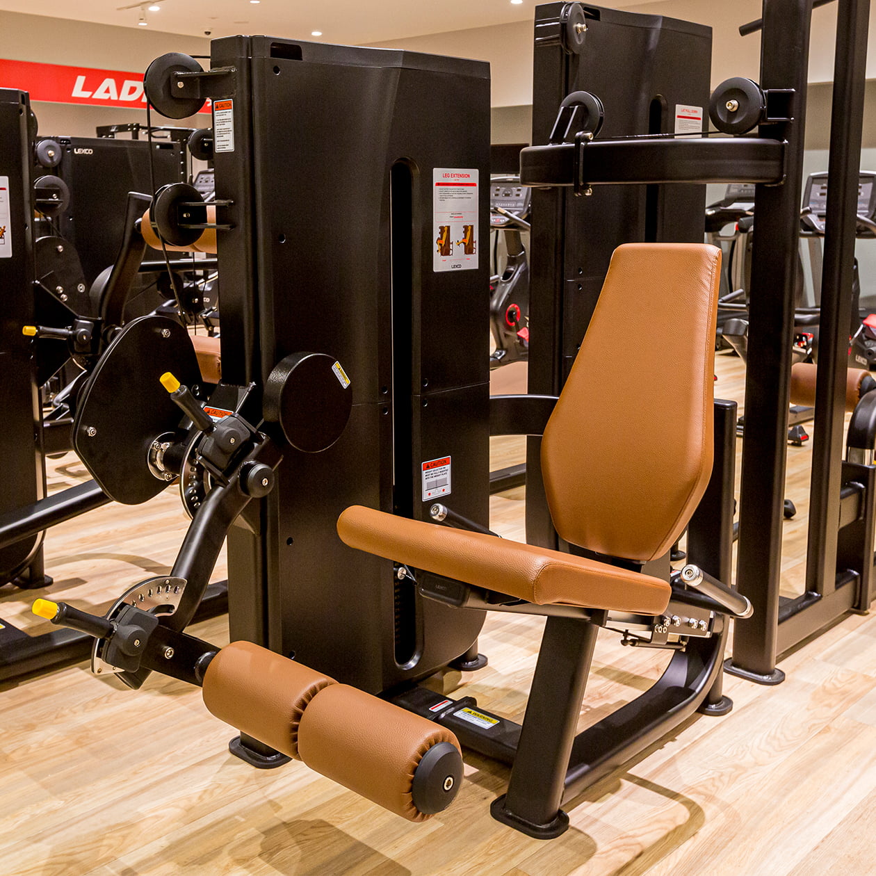 レッグエクステンション