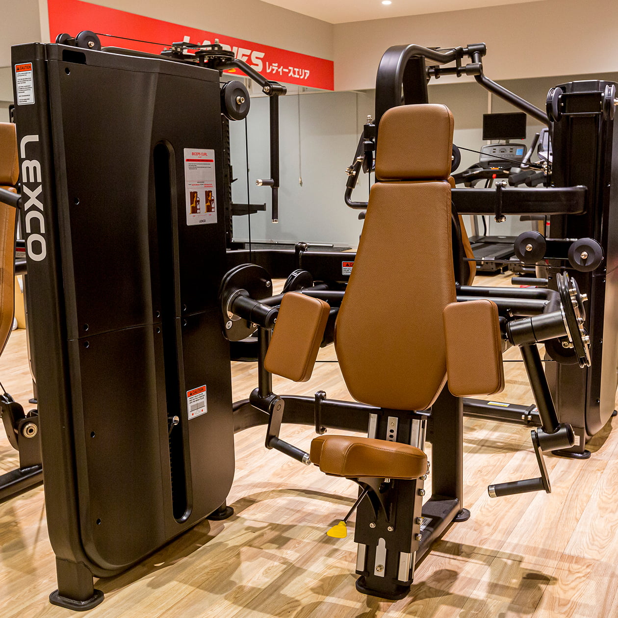 バイセプスカール