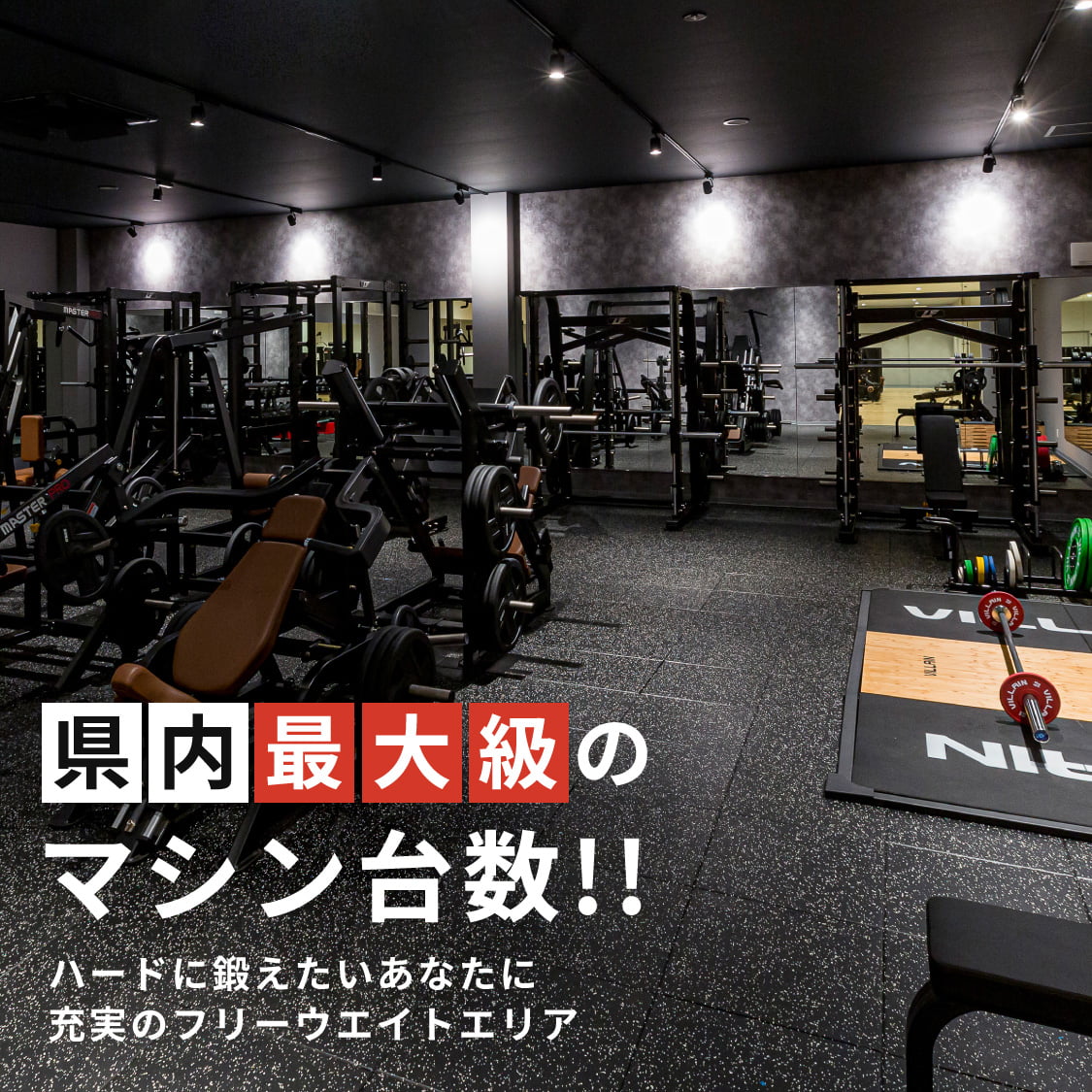 ファーストビュー