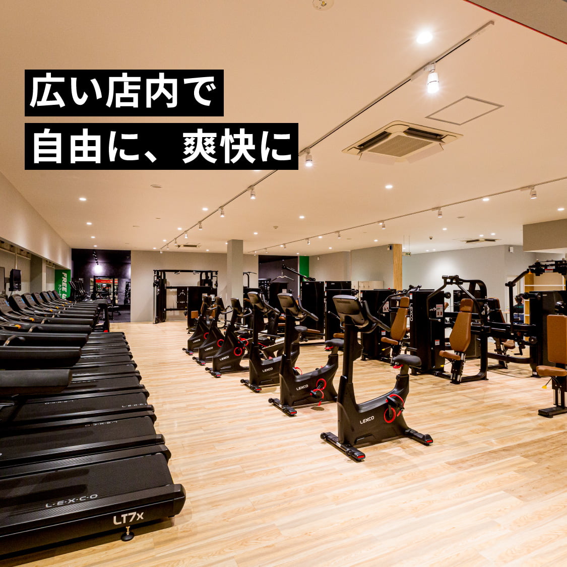 ファーストビュー